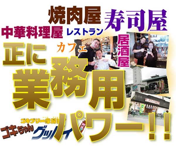 ゴキちゃんグッバイ 1パック（6個入）