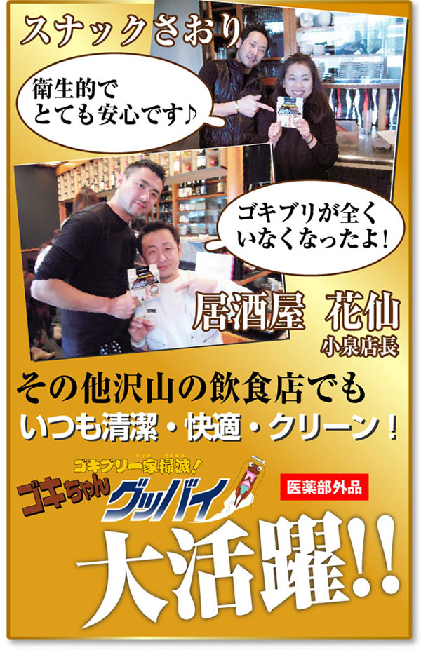 ゴキちゃんグッバイ 1パック（6個入）