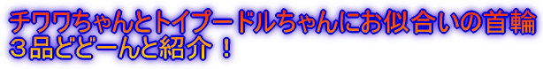 �`���������ƃg�C�v�[�h�������ɂ��������̎�� �R�i�ǂǁ[��ƏЉ�I