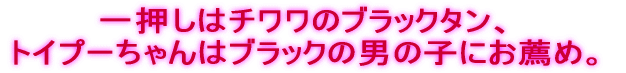 �ꉟ���̓`�����̃u���b�N�^���A�g�C�v�[�����̓u���b�N�̒j�̎q�ɂ��E�߁B