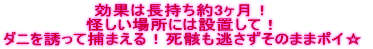 効果は長持ち約3ヶ月！ 怪しい場所には設置して！ ダニを誘って捕まえる！死骸も逃さずそのままポイ☆