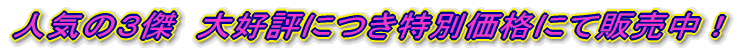 �l�C�̂R���@��D�]�ɂ����ʉ��i�ɂĔ̔����I
