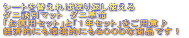 シートを替えれば繰り返し使える ダニ誘引マット　ダニ革命 「お徳用セット」と「１年セット」をご用意♪ 経済的にも環境的にもＧＯＯＤな商品です！