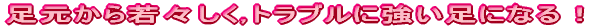 ���������X�����B�g���u���ɋ������ɂȂ�I