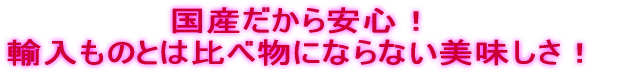 国産高級くじらベーコン