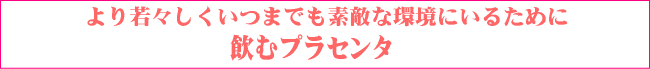 ���ރv���Z���^�T�v�������g
